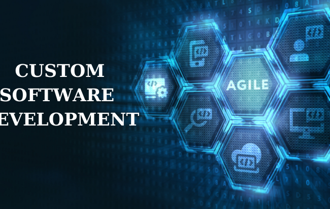 Custom software development